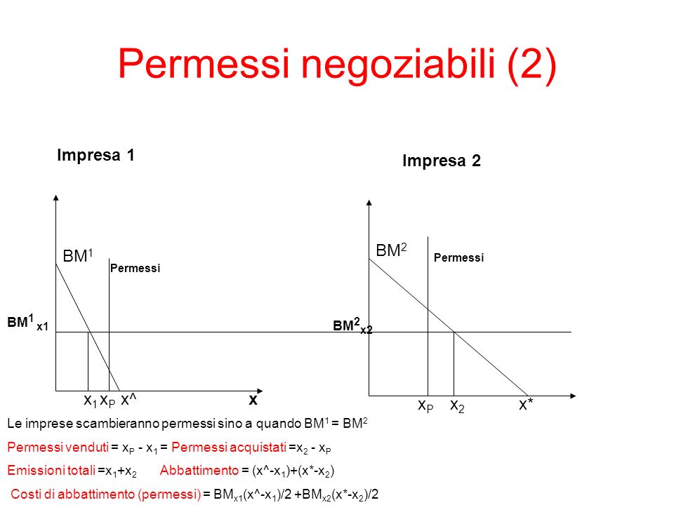 Permessi negoziabili (2) x BM 1 x1x1 x^ Impresa 1 Impresa 2 x2x2 BM 2 x* Le imprese scambieranno permessi sino a quando BM 1 = BM 2 Permessi venduti = x P - x 1 = Permessi acquistati =x 2 - x P Emissioni totali =x 1 +x 2 Abbattimento = (x^-x 1 )+(x*-x 2 ) Costi di abbattimento (permessi) = BM x1 (x^-x 1 )/2 +BM x2 (x*-x 2 )/2 Permessi xPxP xPxP BM 1 x1 BM 2 x2