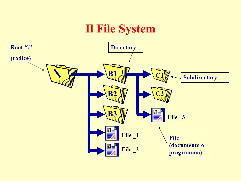 Il File System B1 B2 B3 C1 C2 File _3 File _1 File _2 Root \ (radice) Directory Subdirectory File (documento o programma)