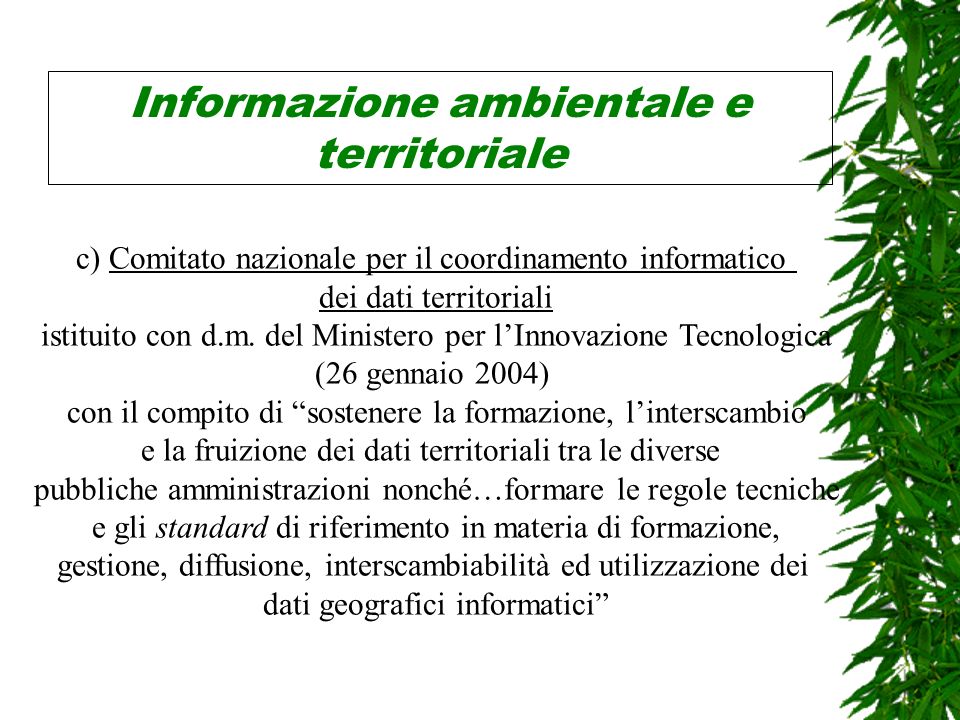 Informazione ambientale e territoriale c) Comitato nazionale per il coordinamento informatico dei dati territoriali istituito con d.m.