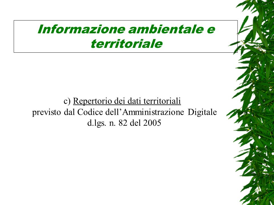 Informazione ambientale e territoriale c) Repertorio dei dati territoriali previsto dal Codice dellAmministrazione Digitale d.lgs.