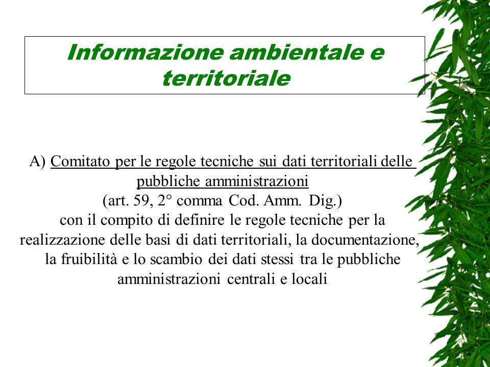 Informazione ambientale e territoriale A) Comitato per le regole tecniche sui dati territoriali delle pubbliche amministrazioni (art.