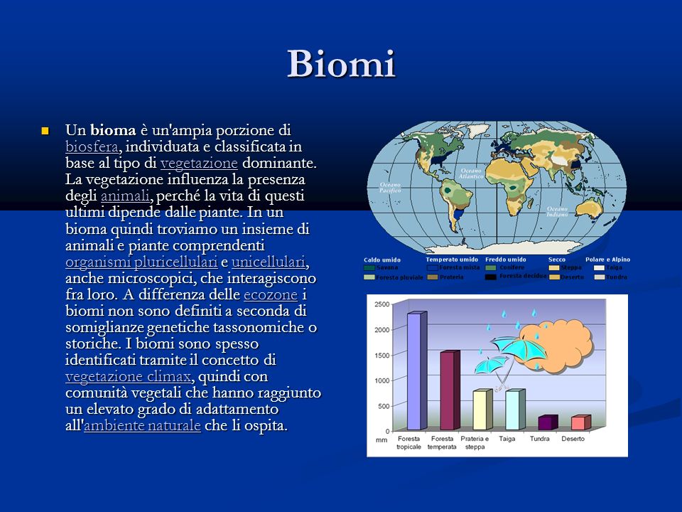 Biomi Un bioma è un ampia porzione di biosfera, individuata e classificata in base al tipo di vegetazione dominante.
