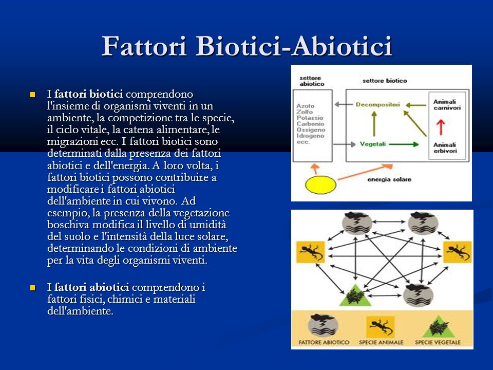 Fattori Biotici-Abiotici I fattori biotici comprendono l insieme di organismi viventi in un ambiente, la competizione tra le specie, il ciclo vitale, la catena alimentare, le migrazioni ecc.