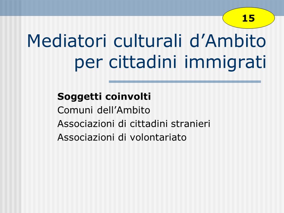 Mediatori culturali dAmbito per cittadini immigrati Soggetti coinvolti Comuni dellAmbito Associazioni di cittadini stranieri Associazioni di volontariato 15