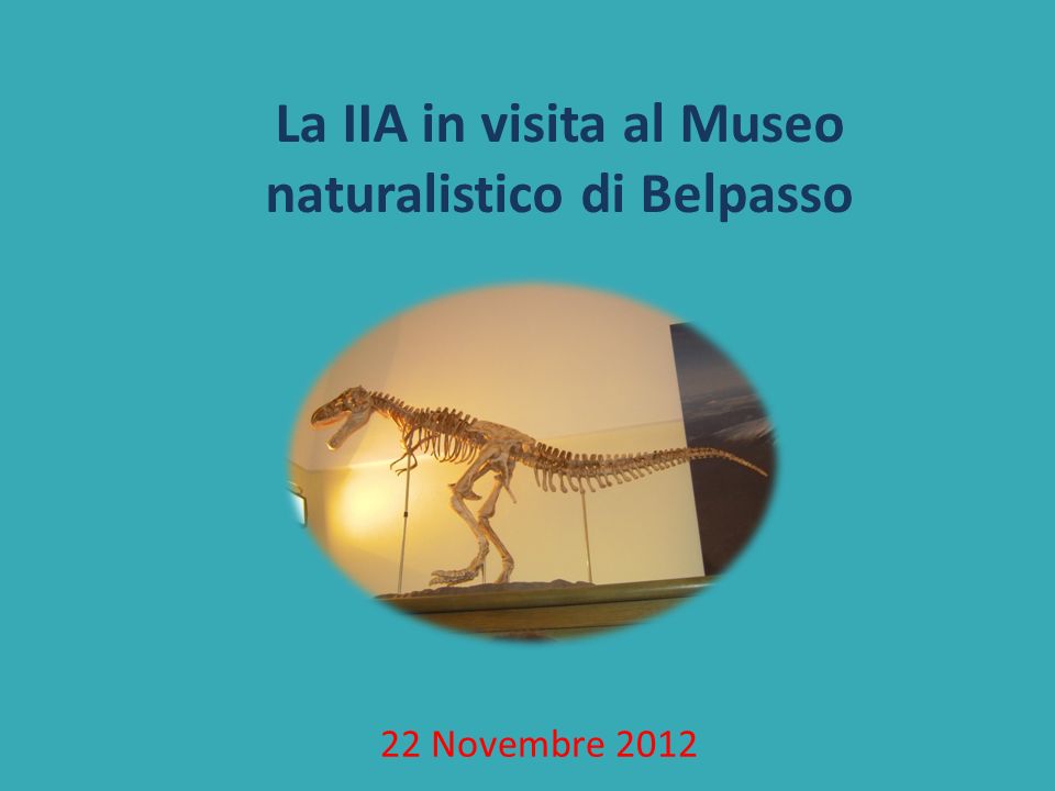 La IIA in visita al Museo naturalistico di Belpasso 22 Novembre 2012