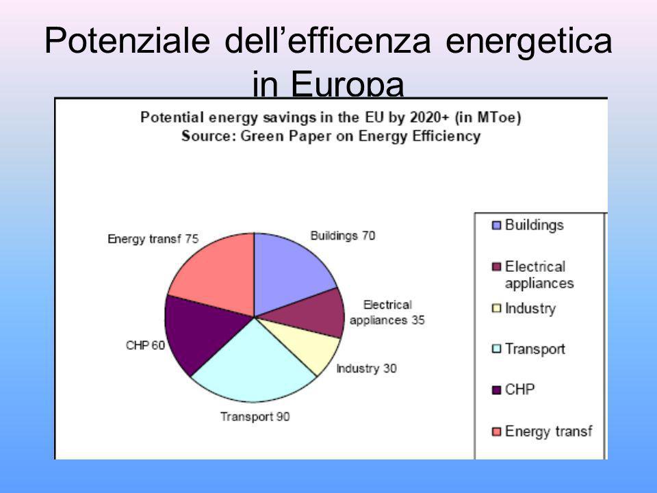 Potenziale dellefficenza energetica in Europa