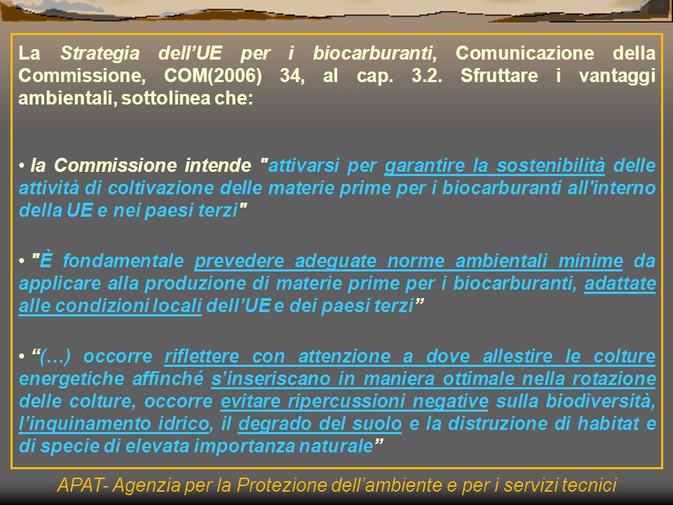 La Strategia dellUE per i biocarburanti, Comunicazione della Commissione, COM(2006) 34, al cap.