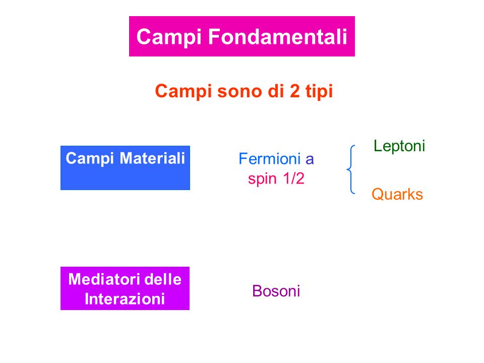 Campi Materiali Fermioni a spin 1/2 Leptoni Quarks Campi sono di 2 tipi Mediatori delle Interazioni Bosoni Campi Fondamentali