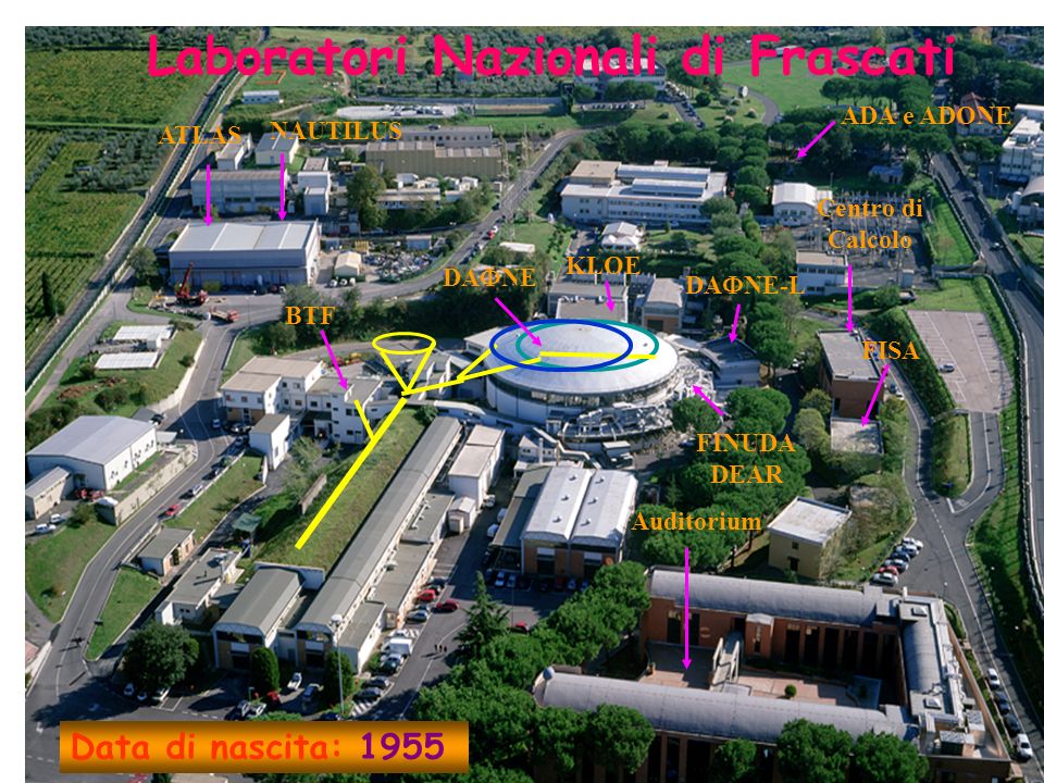 NAUTILUS ATLAS Auditorium ADA e ADONE KLOE DA NE Centro di Calcolo FISA BTF DA NE-L FINUDA DEAR Laboratori Nazionali di Frascati Data di nascita: 1955