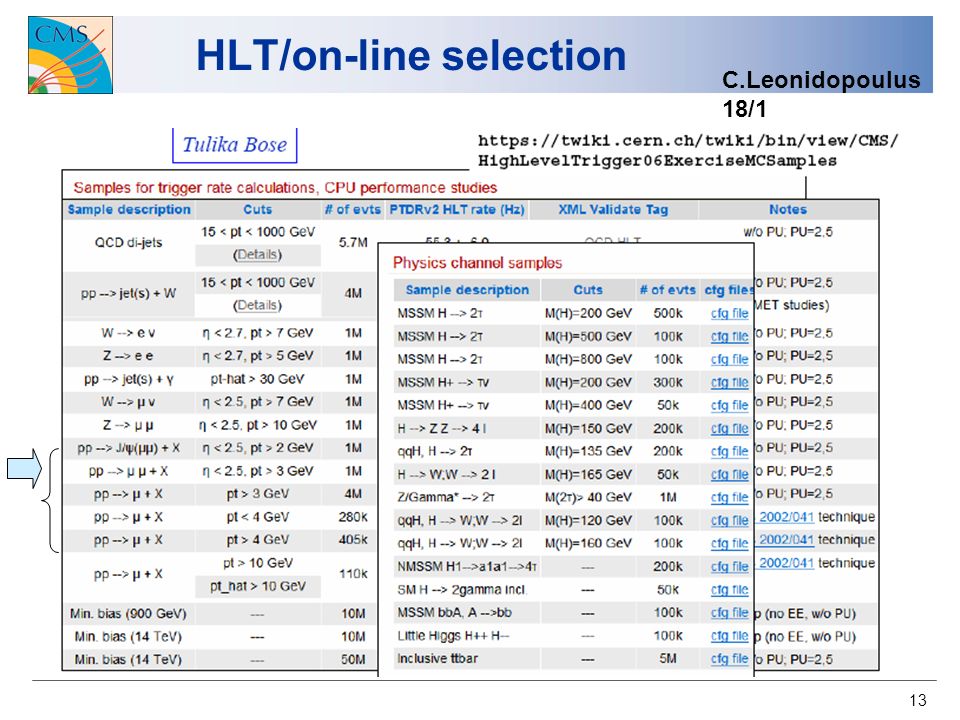 13 HLT/on-line selection C.Leonidopoulus 18/1