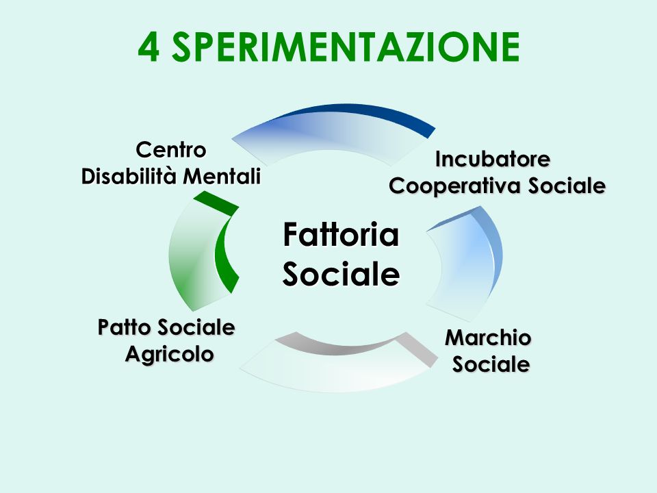 4 SPERIMENTAZIONEIncubatore Cooperativa Sociale MarchioSociale Patto Sociale Agricolo Fattoria Sociale Centro Disabilità Mentali