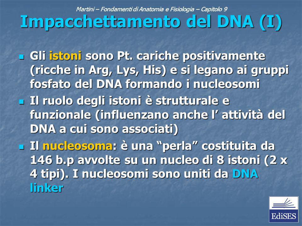 Martini – Fondamenti di Anatomia e Fisiologia – Capitolo 9 Impacchettamento del DNA (I) Gli istoni sono Pt.