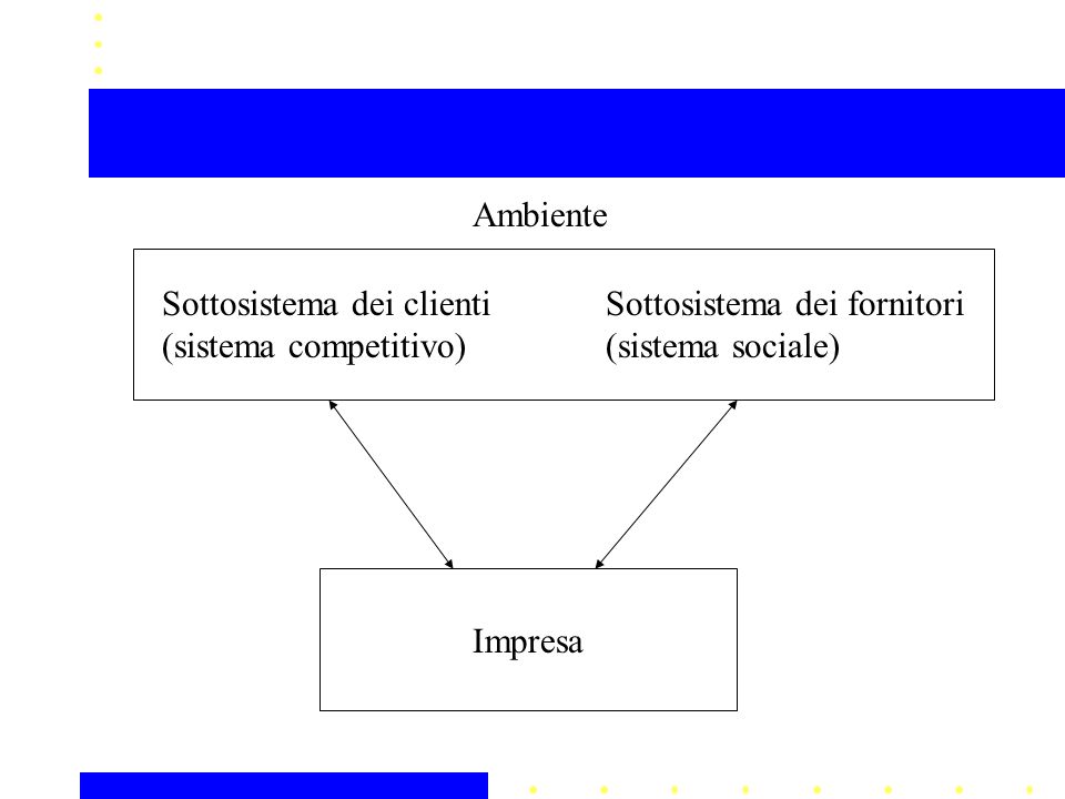 Ambiente Sottosistema dei clienti (sistema competitivo) Sottosistema dei fornitori (sistema sociale) Impresa