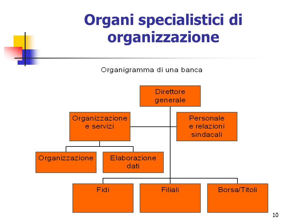 10 Organi specialistici di organizzazione