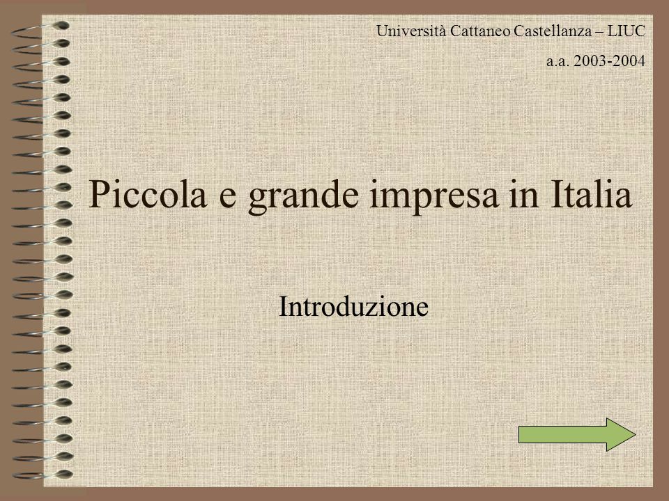 Piccola e grande impresa in Italia Introduzione Università Cattaneo Castellanza – LIUC a.a.