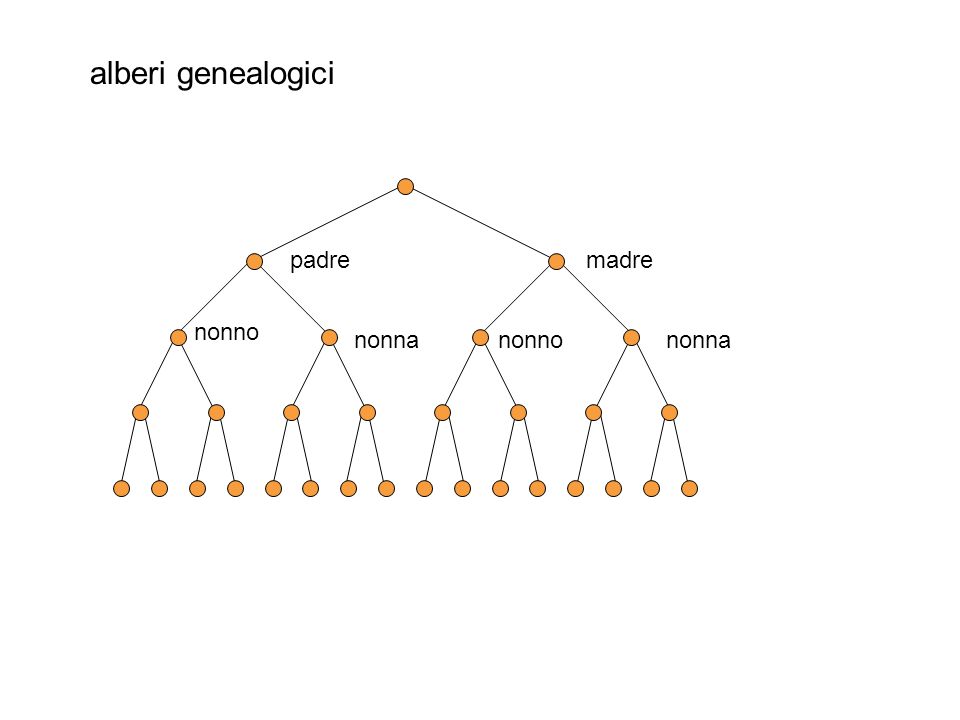 alberi genealogici padremadre nonno nonna