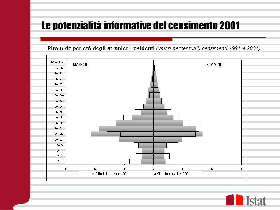 Le potenzialità informative del censimento 2001 Piramide per età degli stranieri residenti (valori percentuali, censimenti 1991 e 2001)