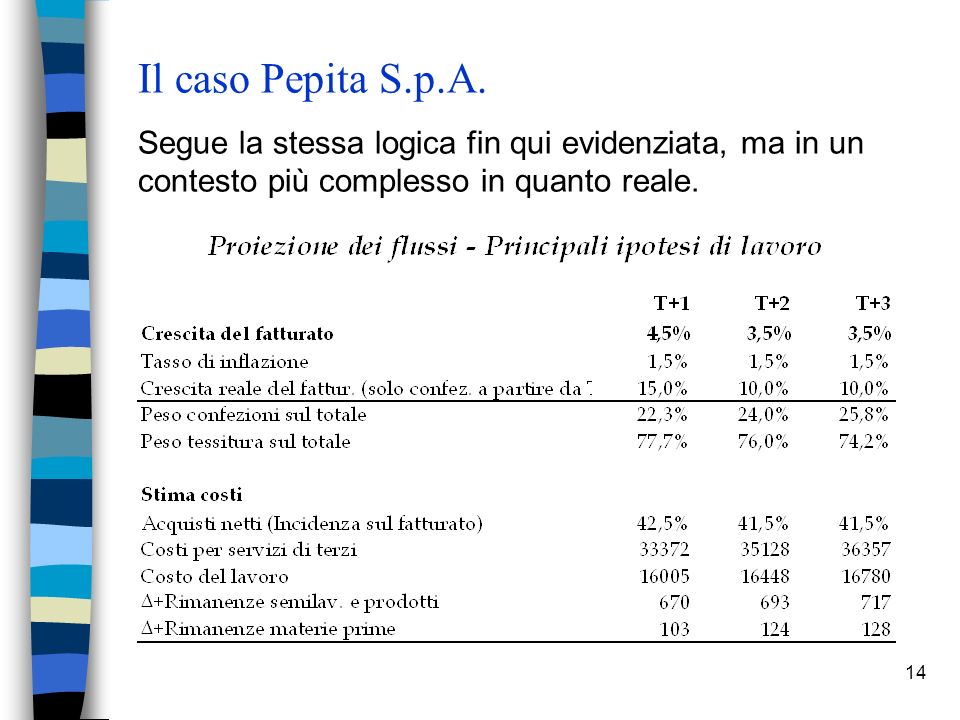 14 Il caso Pepita S.p.A.