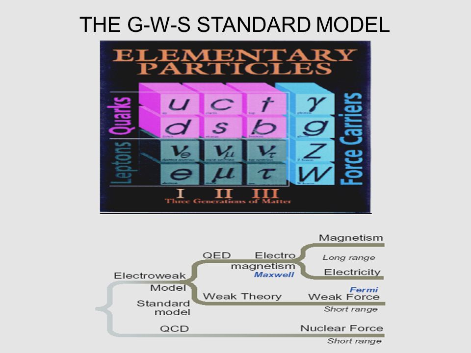 THE G-W-S STANDARD MODEL