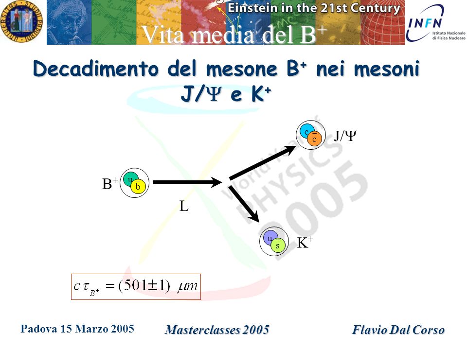 Padova 15 Marzo 2005 Masterclasses 2005Flavio Dal Corso Vita media del B + Decadimento del mesone B + nei mesoni J/ e K + u b c c u s B+B+ K+K+ J/ L