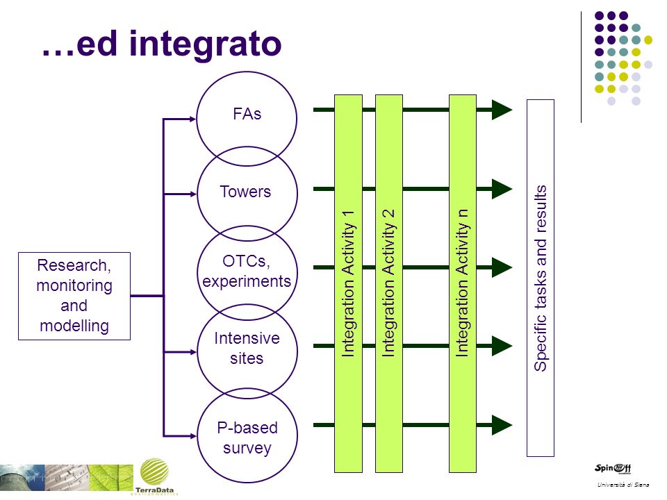 P-based survey Intensive sites OTCs, experiments FAs Towers Specific tasks and results Integration Activity 1 Integration Activity 2Integration Activity n Research, monitoring and modelling Università di Siena …ed integrato
