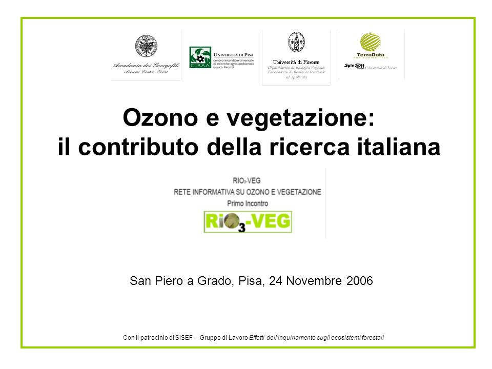 Ozono e vegetazione: il contributo della ricerca italiana San Piero a Grado, Pisa, 24 Novembre 2006 Con il patrocinio di SISEF – Gruppo di Lavoro Effetti dell inquinamento sugli ecosistemi forestali