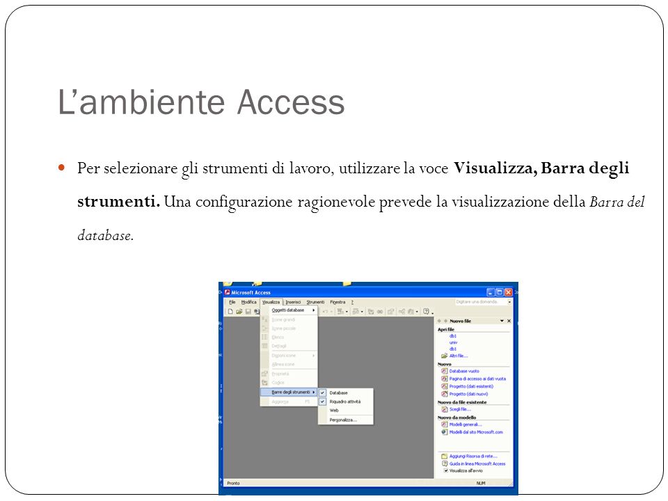 Lambiente Access Per selezionare gli strumenti di lavoro, utilizzare la voce Visualizza, Barra degli strumenti.