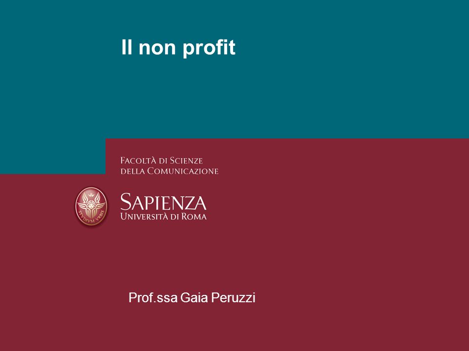 Il non profit Prof.ssa Gaia Peruzzi