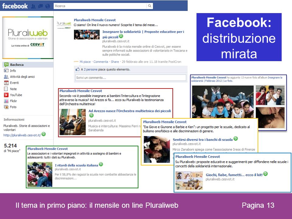 Pagina 13 Il tema in primo piano: il mensile on line Pluraliweb Facebook: distribuzione mirata