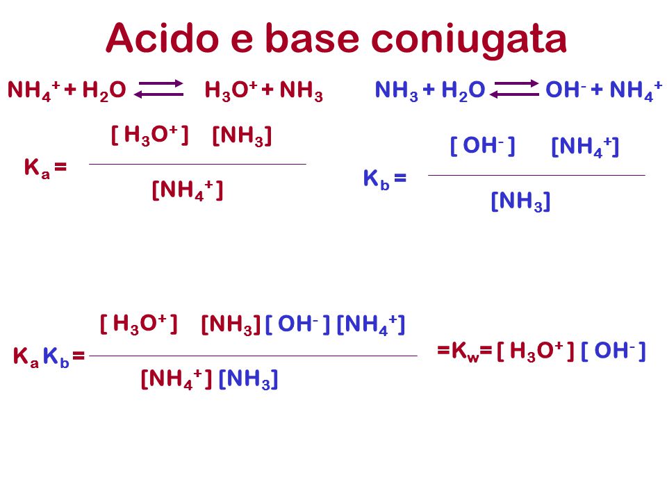 N2 h2o продукт реакции. Nh3+5o2 4no+6h2o. Nh3-h2 цепочка. Nh3+h2o уравнение. Nh3+h2o.