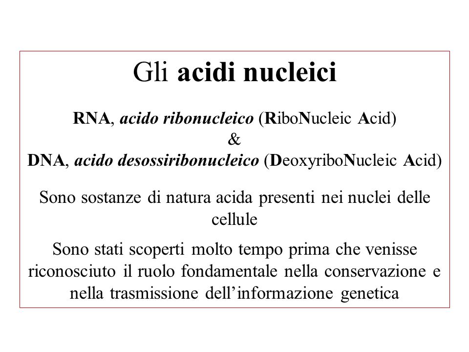 Gli acidi nucleici RNA, acido ribonucleico (RiboNucleic Acid) & DNA, acido desossiribonucleico (DeoxyriboNucleic Acid) Sono sostanze di natura acida presenti nei nuclei delle cellule Sono stati scoperti molto tempo prima che venisse riconosciuto il ruolo fondamentale nella conservazione e nella trasmissione dell’informazione genetica