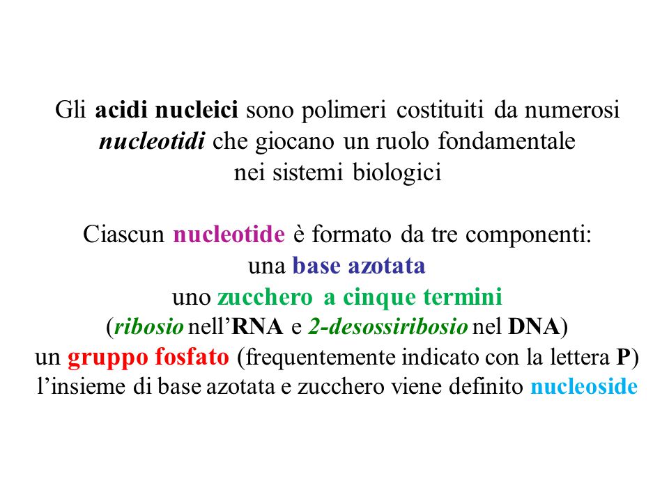 Gli acidi nucleici sono polimeri costituiti da numerosi nucleotidi che giocano un ruolo fondamentale nei sistemi biologici Ciascun nucleotide è formato da tre componenti: una base azotata uno zucchero a cinque termini (ribosio nell’RNA e 2-desossiribosio nel DNA) un gruppo fosfato ( frequentemente indicato con la lettera P) l’insieme di base azotata e zucchero viene definito nucleoside