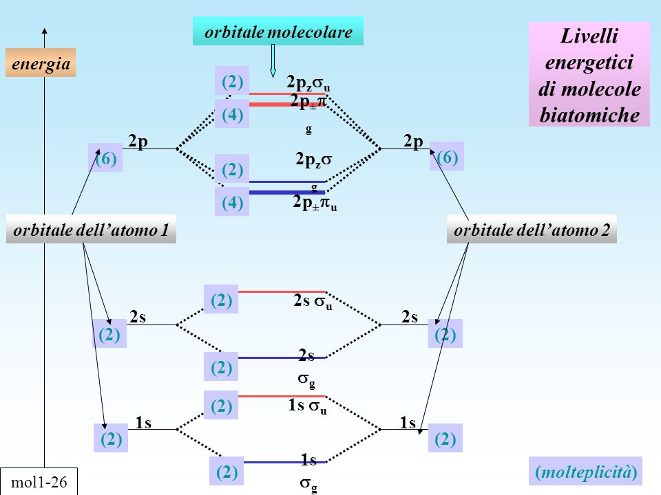 Livelli energetici di molecole biatomiche energia orbitale dellatomo 1orbitale dellatomo 2 orbitale molecolare 2p 1s 2s 2p (2) (6) (2) (4) (2) (4) (6) (molteplicità) 2p z u 2p ± g 2p z g 1s g 1s u 2s u 2s g 2p ± u mol1-26