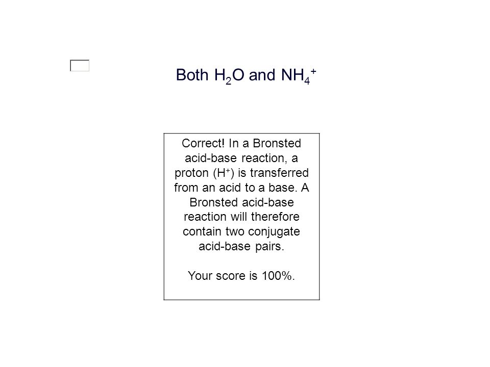 Both H 2 O and NH 4 + Correct.