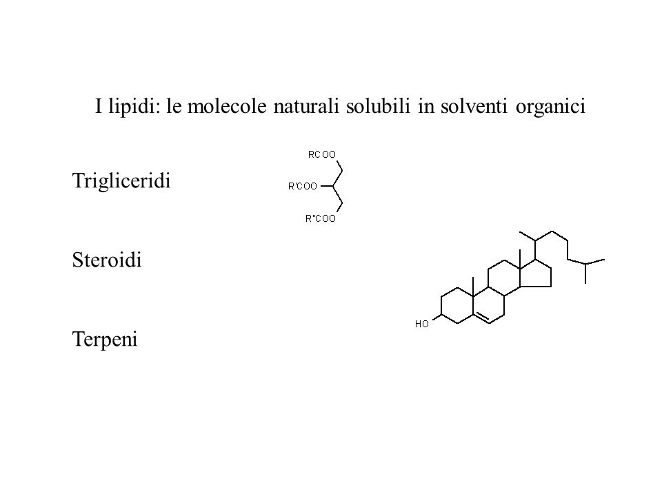 I lipidi: le molecole naturali solubili in solventi organici Trigliceridi Steroidi Terpeni