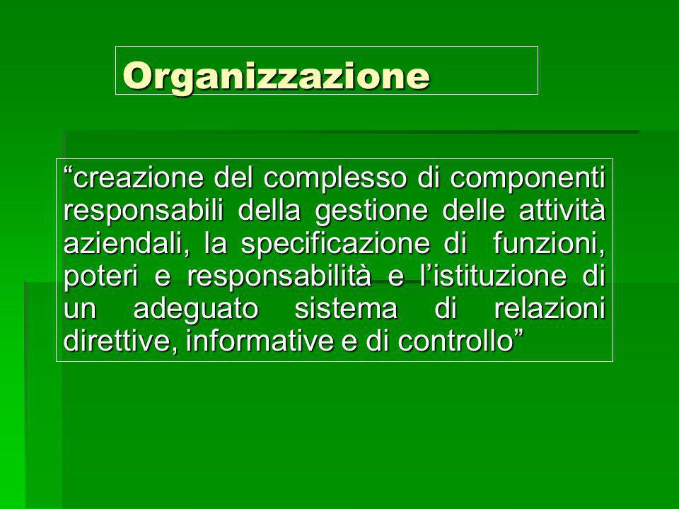 Organizzazione creazione del complesso di componenti responsabili della gestione delle attività aziendali, la specificazione di funzioni, poteri e responsabilità e listituzione di un adeguato sistema di relazioni direttive, informative e di controllo