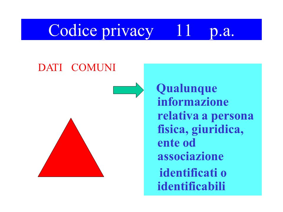 Codice privacy 11 p.a.
