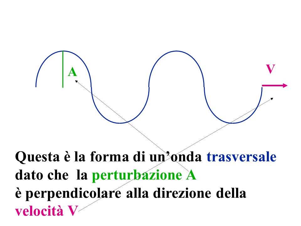 Questa è la forma di unonda trasversale dato che la perturbazione A è perpendicolare alla direzione della velocità V A V