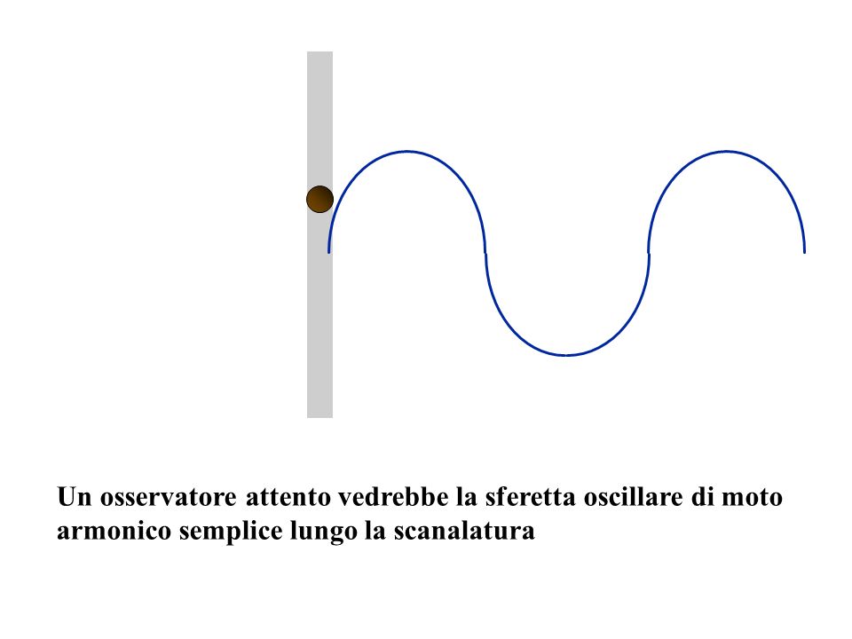 Un osservatore attento vedrebbe la sferetta oscillare di moto armonico semplice lungo la scanalatura