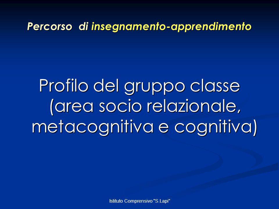 Istituto Comprensivo S.Lapi Percorso di insegnamento-apprendimento Profilo del gruppo classe (area socio relazionale, metacognitiva e cognitiva)