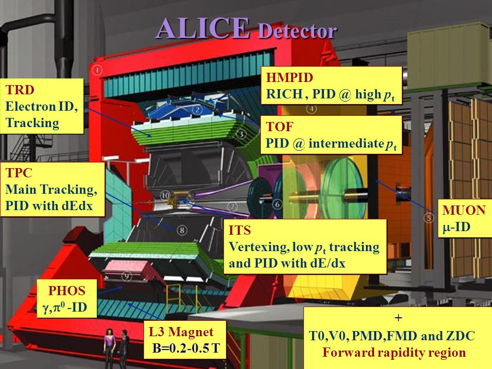 10i HMPID RICH, high p t ALICE Detector ITS Vertexing, low p t tracking and PID with dE/dx TPC Main Tracking, PID with dEdx TRD Electron ID, Tracking TOF intermediate p t PHOS 0 -ID MUON -ID + T0,V0, PMD,FMD and ZDC Forward rapidity region L3 Magnet B= T