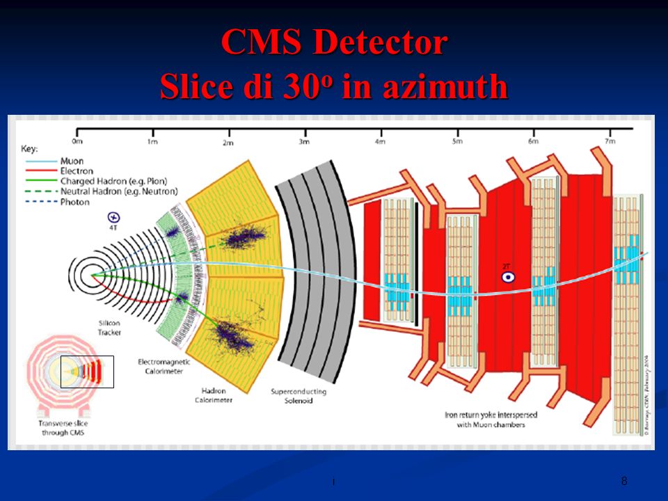 8i CMS Detector Slice di 30 o in azimuth