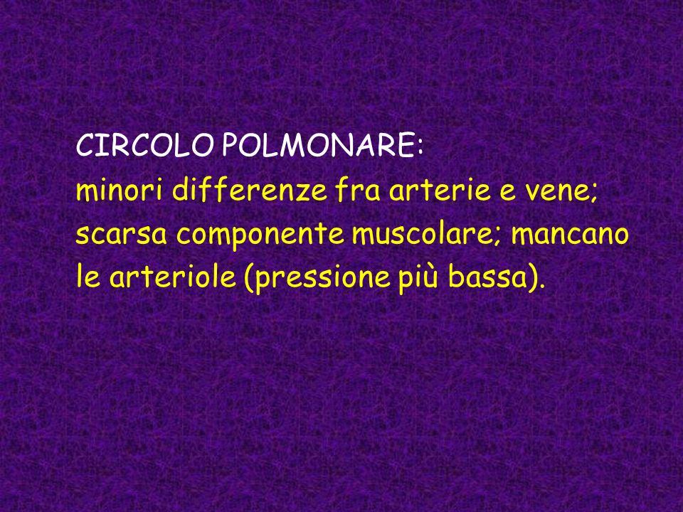 CIRCOLO POLMONARE: minori differenze fra arterie e vene; scarsa componente muscolare; mancano le arteriole (pressione più bassa).