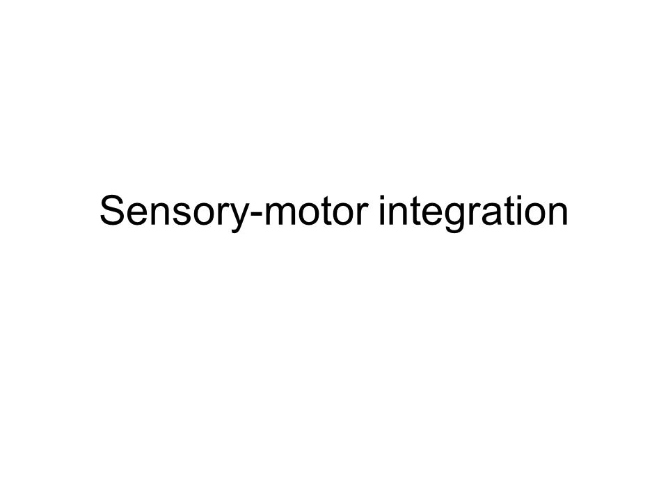 Sensory-motor integration