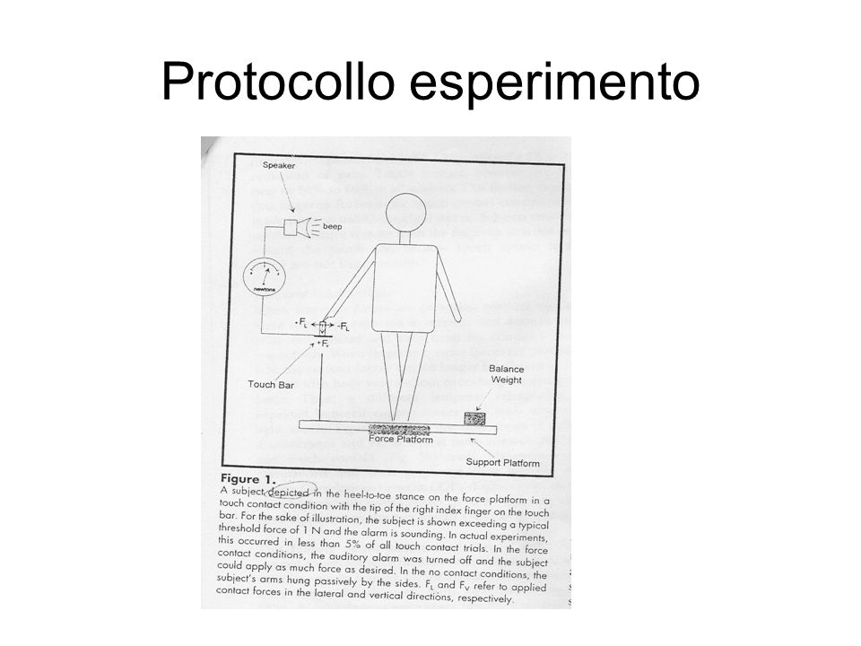 Protocollo esperimento