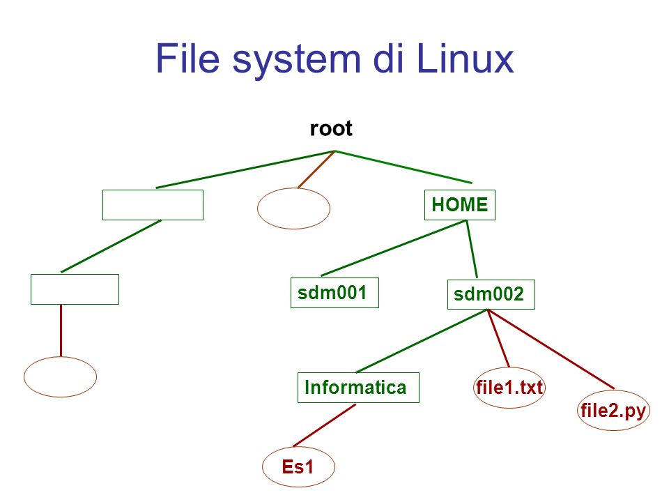 File system di Linux root HOME sdm001 sdm002 Informatica Es1 file1.txt file2.py