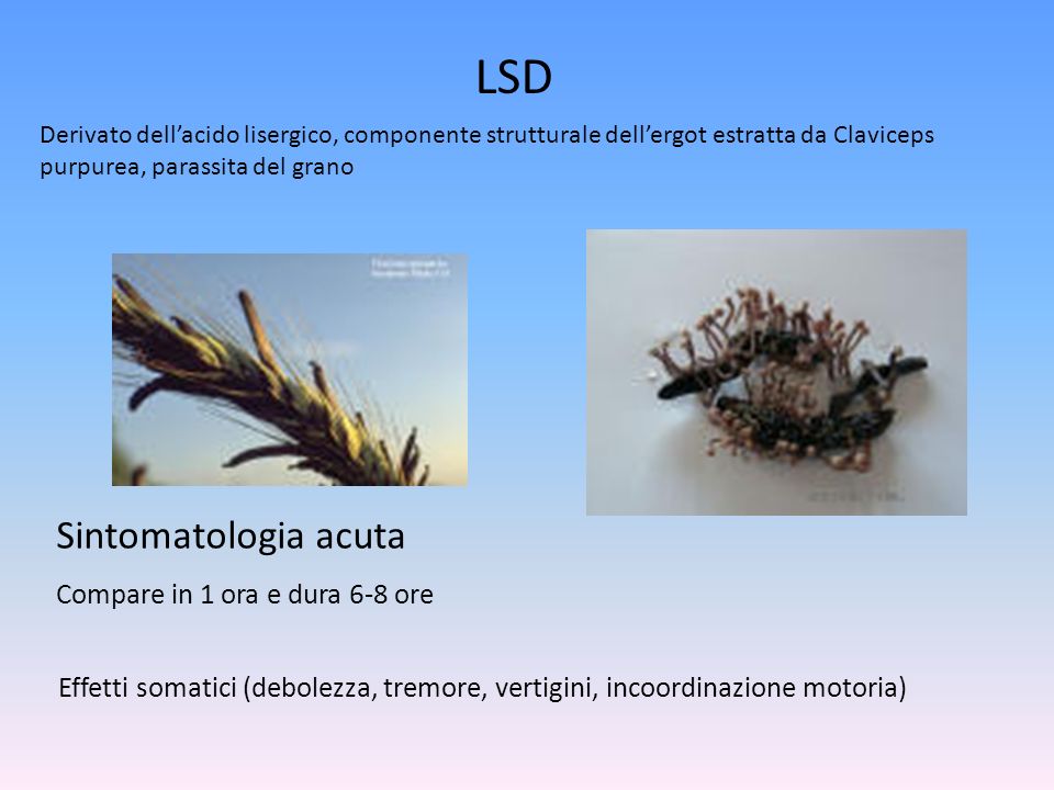 LSD Derivato dellacido lisergico, componente strutturale dellergot estratta da Claviceps purpurea, parassita del grano Sintomatologia acuta Compare in 1 ora e dura 6-8 ore Effetti somatici (debolezza, tremore, vertigini, incoordinazione motoria)