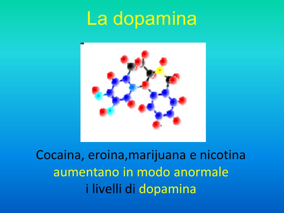 La dopamina Cocaina, eroina,marijuana e nicotina aumentano in modo anormale i livelli di dopamina