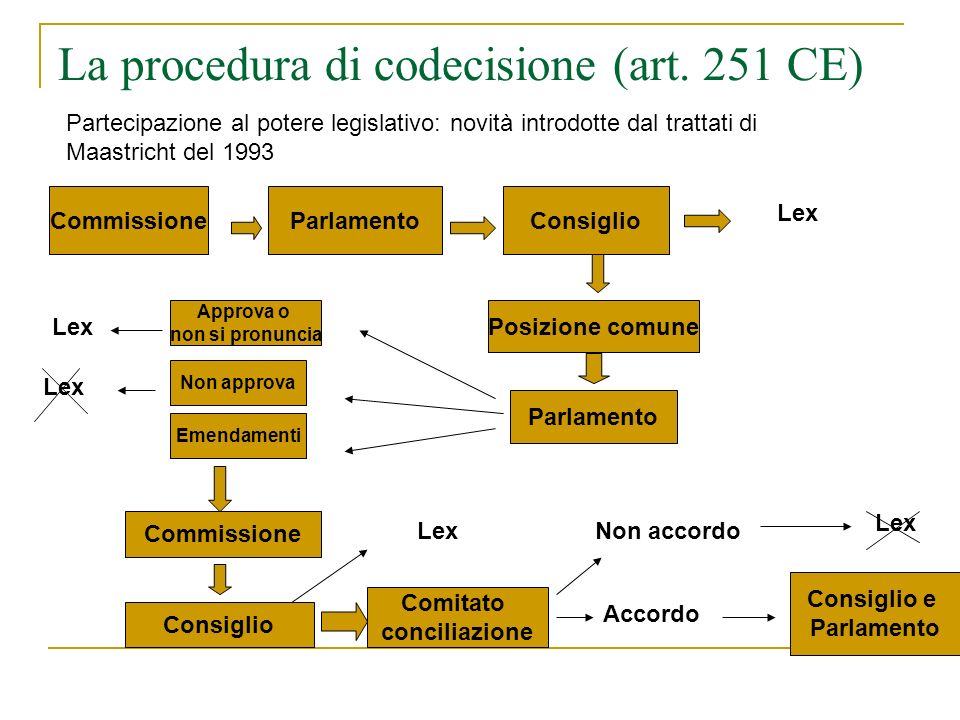 La procedura di codecisione (art.
