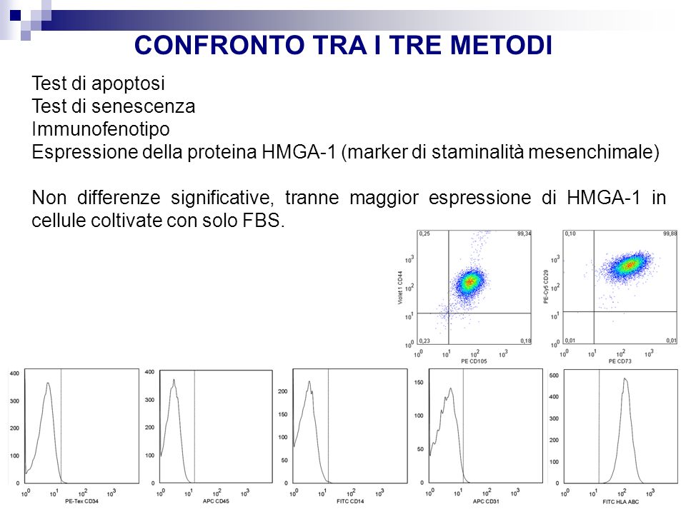CONFRONTO TRA I TRE METODI Test di apoptosi Test di senescenza Immunofenotipo Espressione della proteina HMGA-1 (marker di staminalità mesenchimale) Non differenze significative, tranne maggior espressione di HMGA-1 in cellule coltivate con solo FBS.